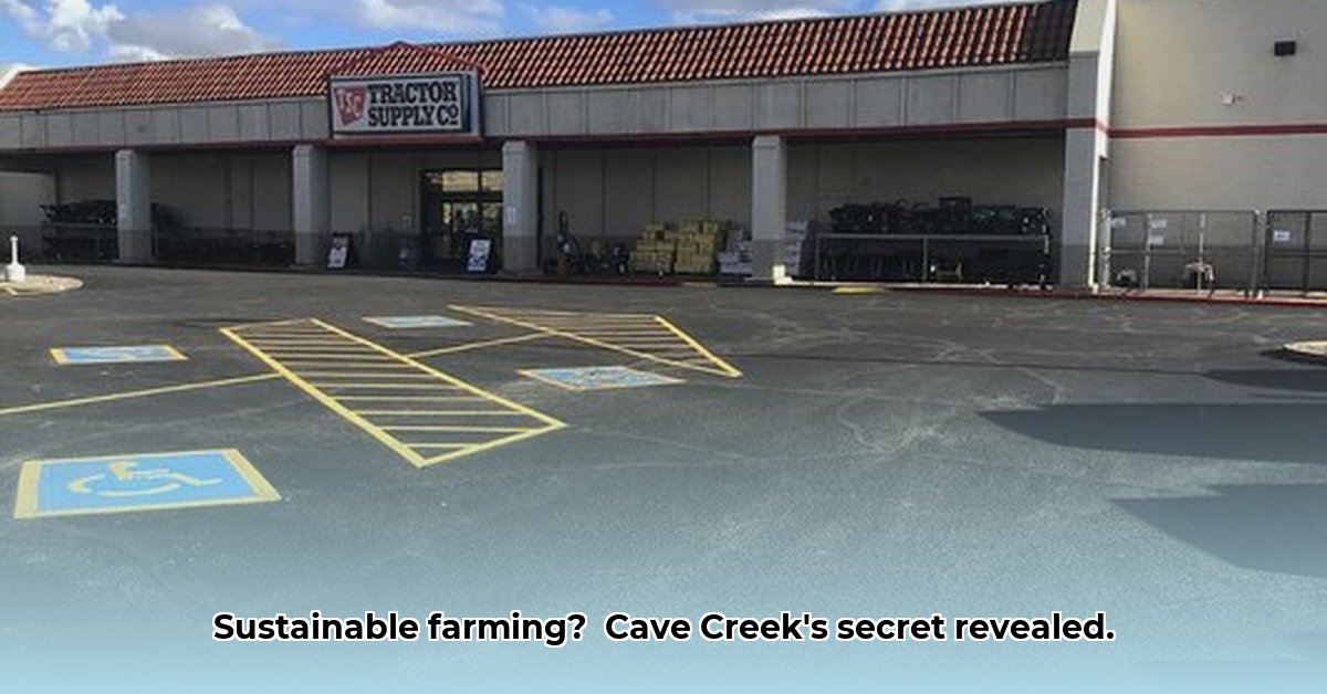 tractor-supply-cave-creek